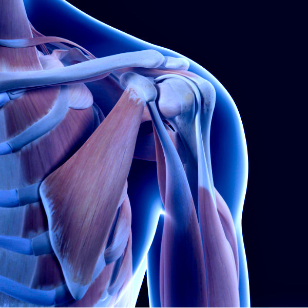 صحة العظام و المفاصل